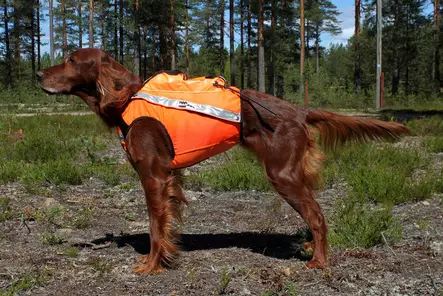 Kardog Sulo GPS signalväst med fäste för blinkljus - Signalväst för hundar - 3950001277130 - 2