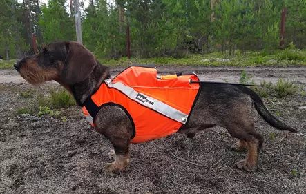 Kardog Sulo GPS signalväst med fäste för blinkljus - Signalväst för hundar - 3950001277130 - 1