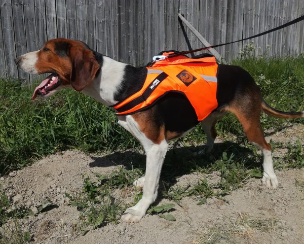 Kardog JEHU – flytväst GPS-signalväst - Signalväst för hundar - 3950001257330 - 1