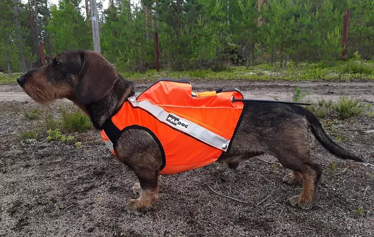 Kardog Sulo GPS signalväst med fäste för blinkljus - Signalväst för hundar - 3950001277130 - 1