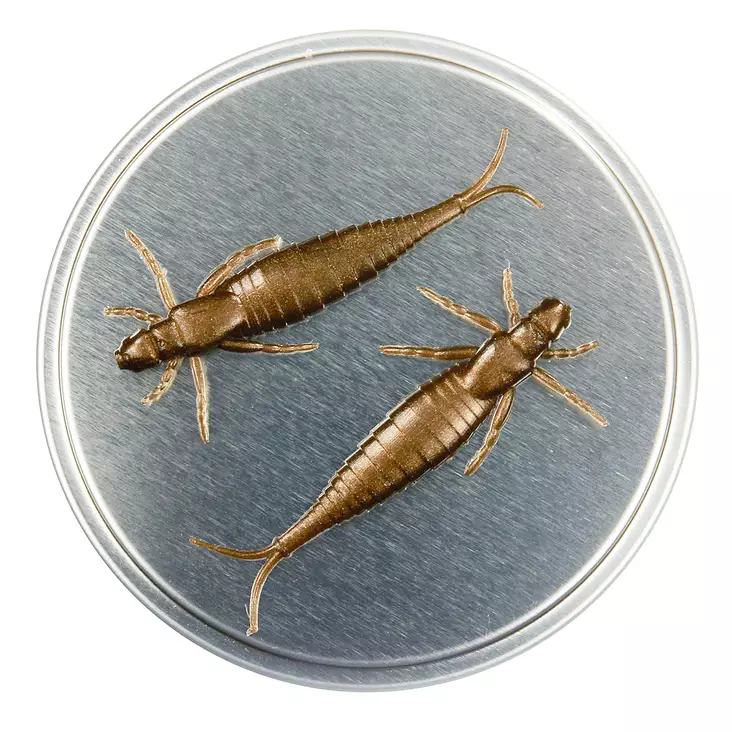 Microbite Nymph 50mm Jigg - Jiggar - 6429810122070 - 1