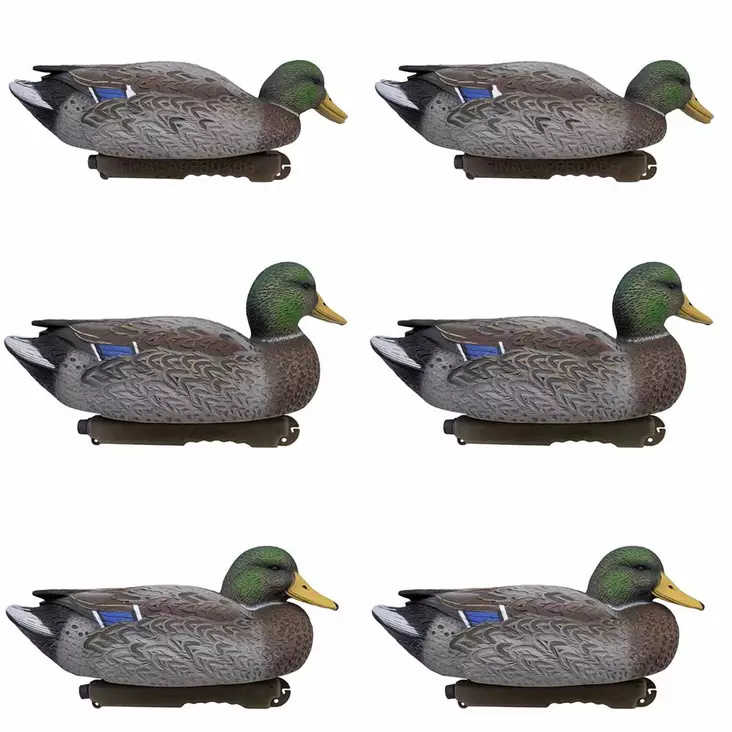 Final Approach Live Early Season Mallards, 6-pack - Bulvaner / lockfåglar - 728614297110 - 1
