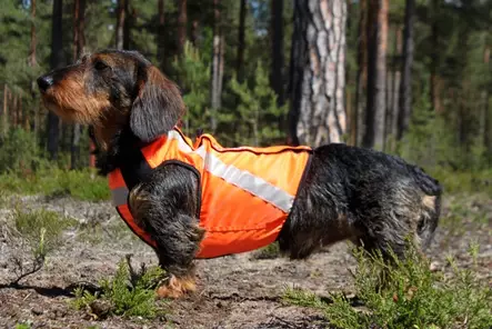 Kardog SISU-signalväst - Signalväst för hundar - 3950001270711 - 1