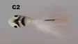 MA Mutu Leech 5g 35mm mormyska - Mormyskor (Leechi) - 6420615484202 - 16