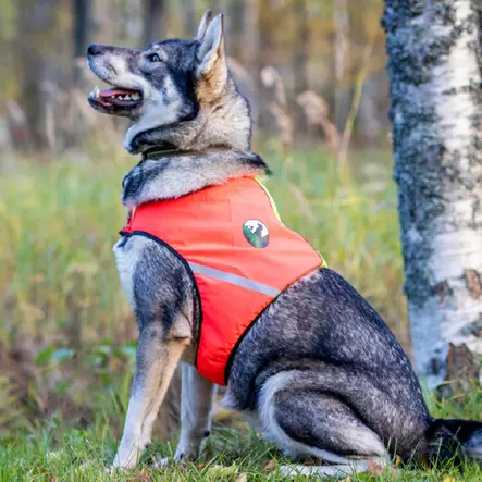 UKKO signal-väst för hunden - Signalväst för hundar - 3950001267964 - 2