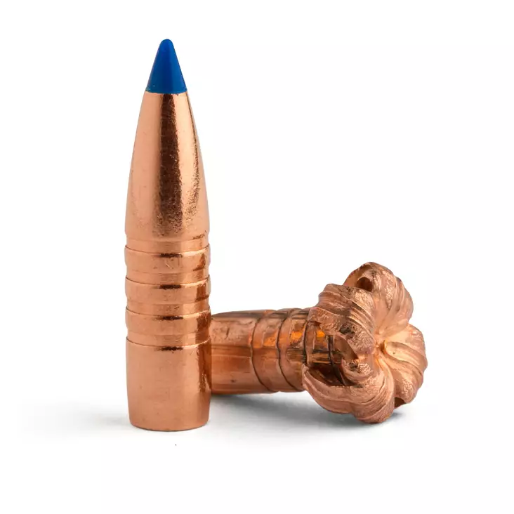 Barnex TTSX Kula .30 165gr / 10,7g 50st - Kulor och Hagel - 716876308774 - 2