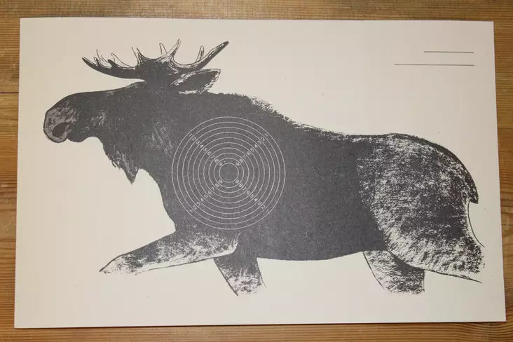 Älgtavla luftgevär 17,5x27cm, 100st - Skjutstöd och tavlor - 6410362404004 - 1