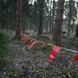 Alces Flagg Lina 500m - Camouflagenät och dräkter - 7340143771485 - 2