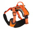 - - - 1
