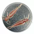 Microbite Arthropod 65mm Jigg - Jiggar - 6429810122445 - 1