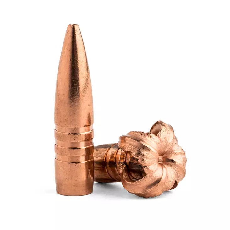 Barnex TSX FB Kula 9,3mm 250gr / 16,2g 50st - Kulor och Hagel - 716876366255 - 2