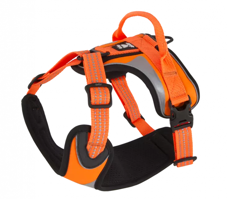 Hurtta Dazzle Selen, orange - Hundhalsband och selar - 6410329324635 - 1