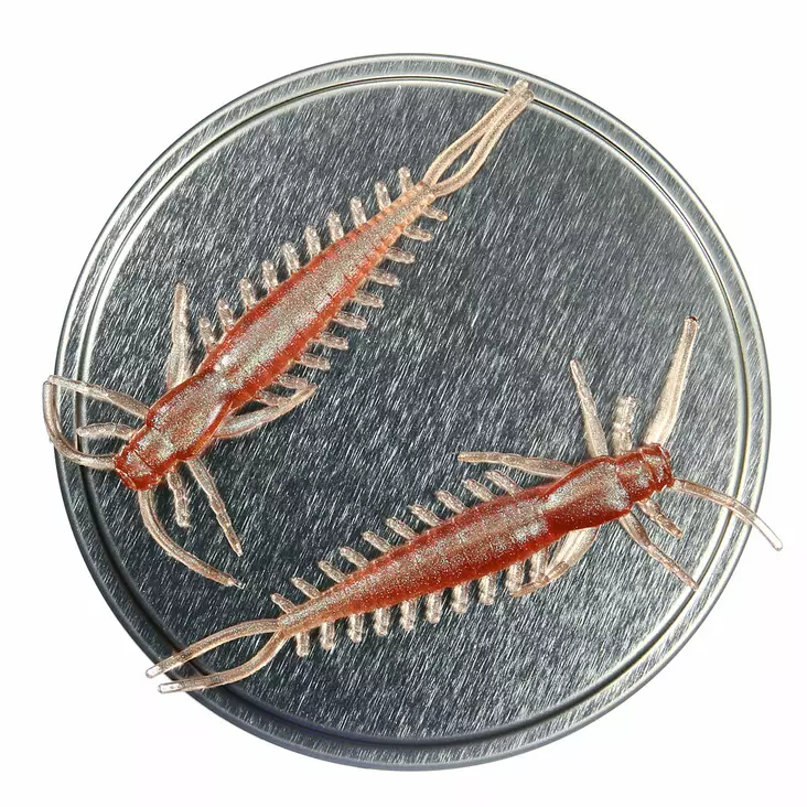 Microbite Arthropod 65mm Jigg - Jiggar - 6429810122445 - 1