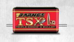 Barnes TSX .45-70 FN FB 250gr/16,2g 20st - Kulor och Hagel - 716876458417 - 1