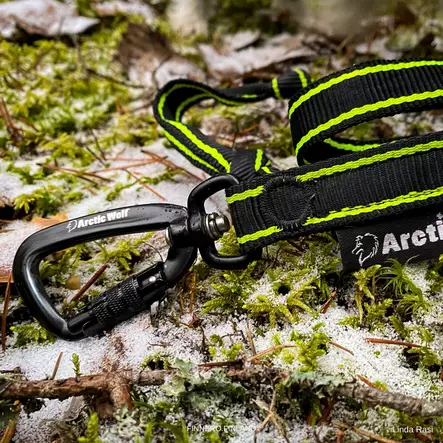 Arctic Wolf POWER elastiskt koppel - Hundkoppel - 3950001287528 - 1