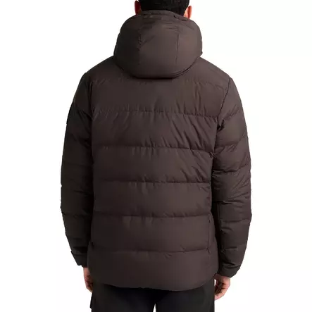 Jack wolfskin COLONIUS JKT M RDS Dunjacka S - Gröna / bruna rockar och västar - 4064886586078 - 2