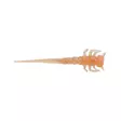 Berkley PowerBait Swordtail 1.25in/3cm - Jiggar - 028632000458 - 1