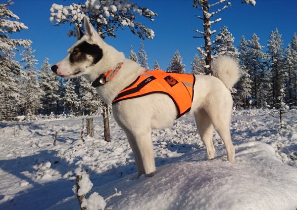 JERI – Flytande signalväst - Signalväst för hundar - 3950001270728 - 1