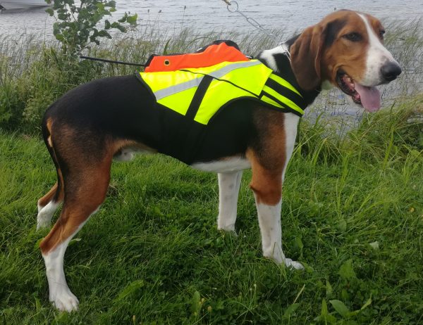 Kardog RAIPE- GPS signalväst - Signalväst för hundar - 3950001257378 - 1