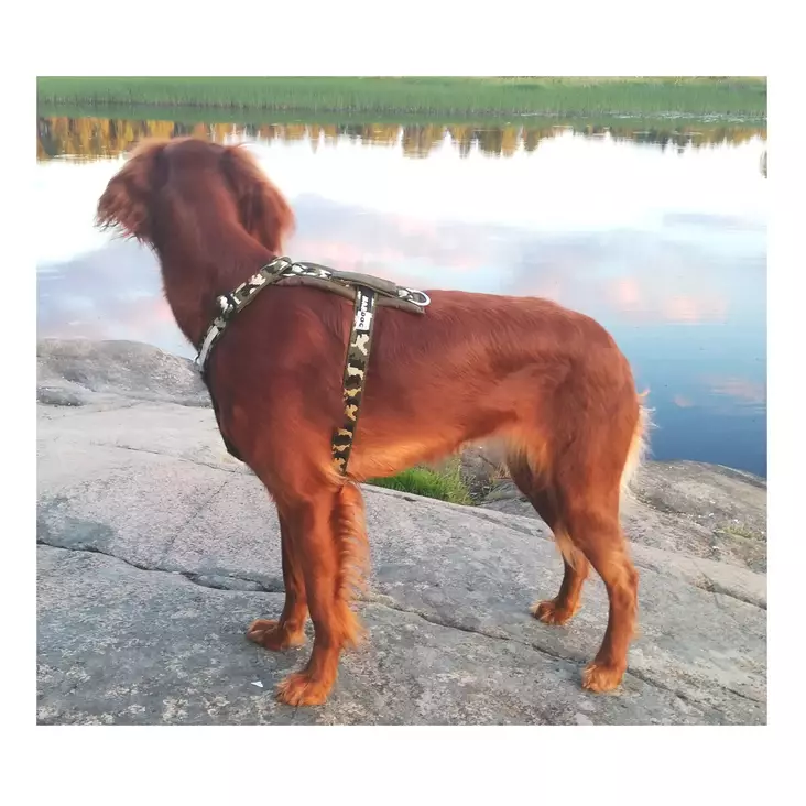 Kardog Hulda hundsele Green camo - Hundhalsband och selar - 3950001295028 - 1