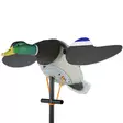 Lucky Duck Junior II 6V Robotand - Bulvaner / lockfåglar - 605093101179 - 1
