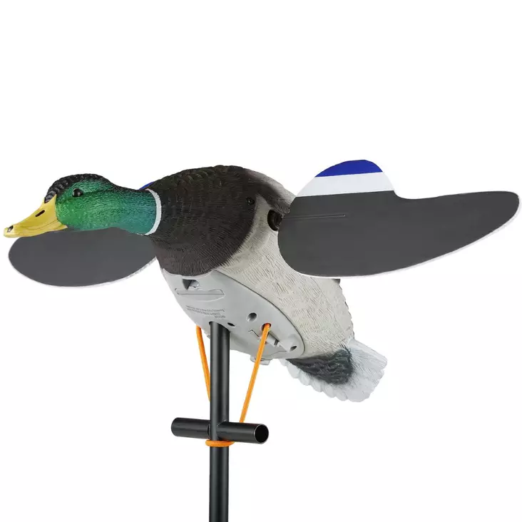 Lucky Duck Junior II 6V Robotand - Bulvaner / lockfåglar - 605093101179 - 1